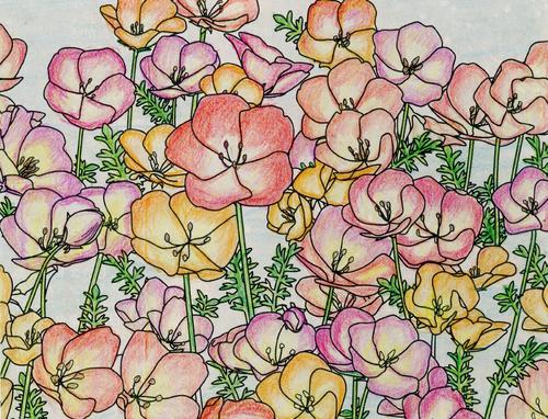 加藤邦雄さんの塗り絵作品