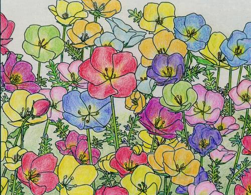坂本征子さんの塗り絵作品