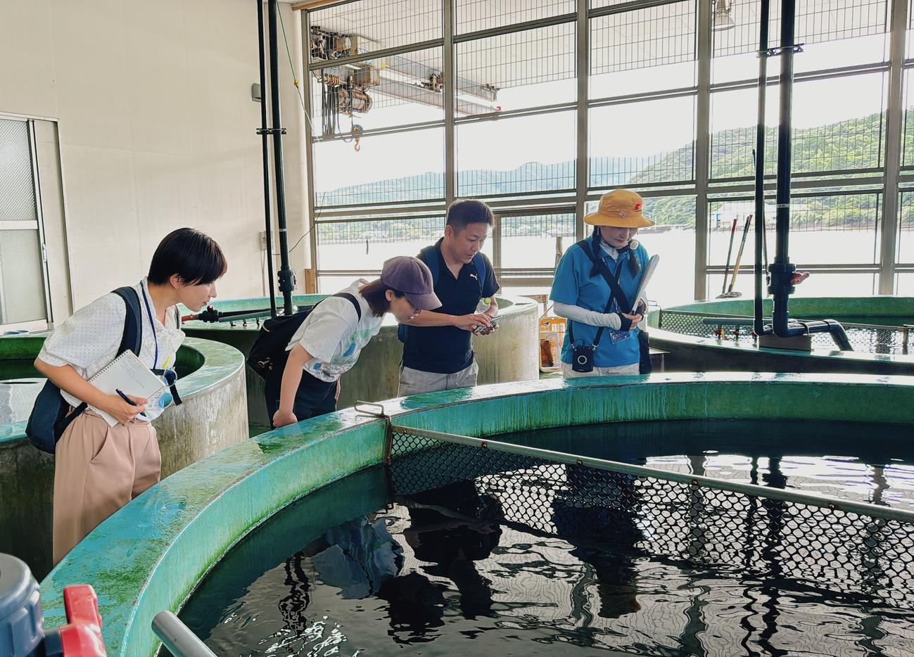 土佐清水ツアーで活魚の水槽を見学する様子（高知県観光政策課提供）