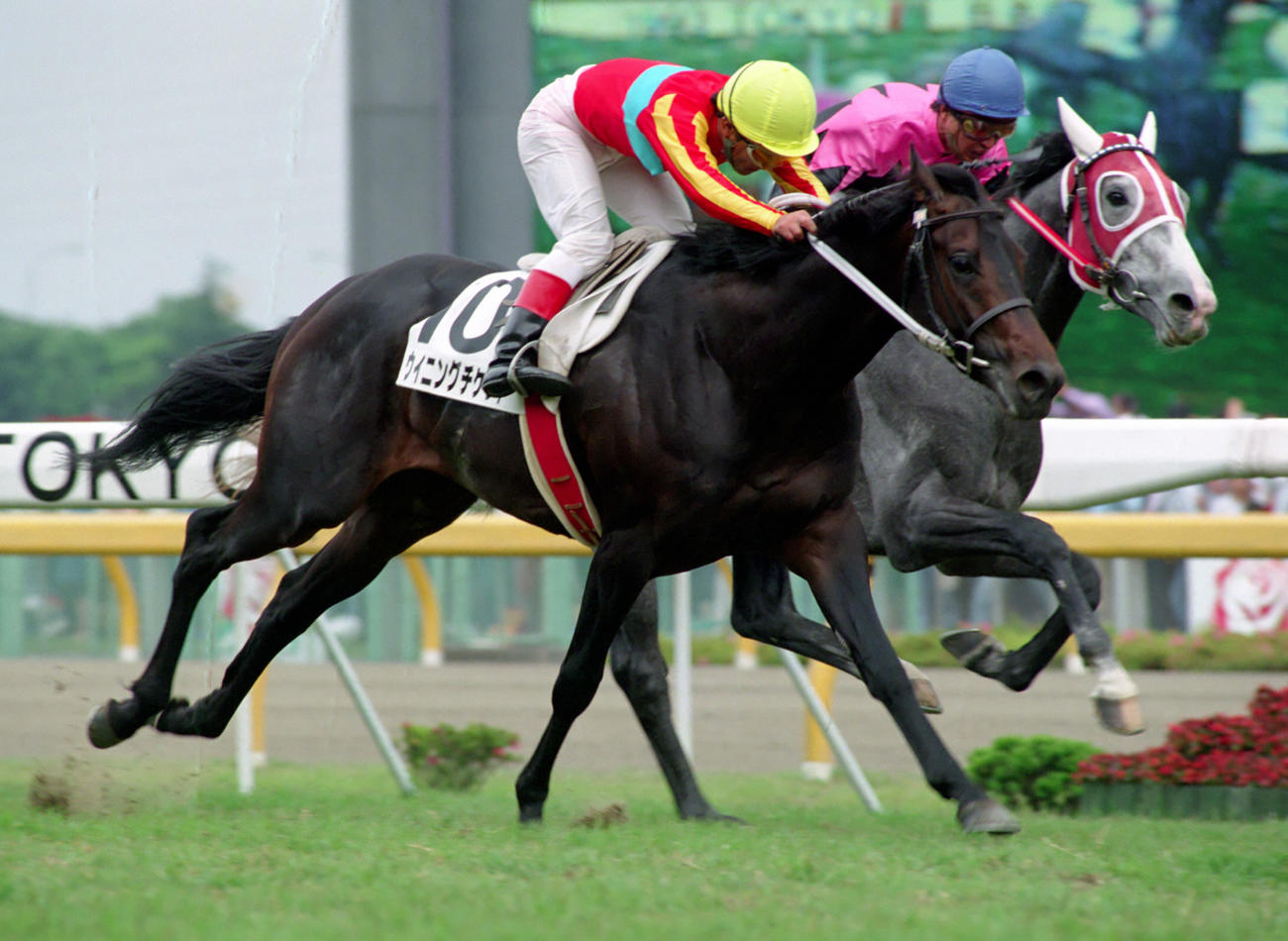 ウイニングチケットのたてがみ切られメルカリ出品 - 社会 : 日刊スポーツ