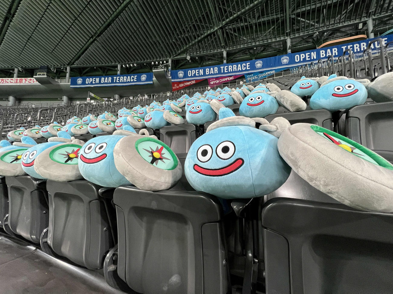大量のスラミチがあらわれた！（2022年6月10日撮影）