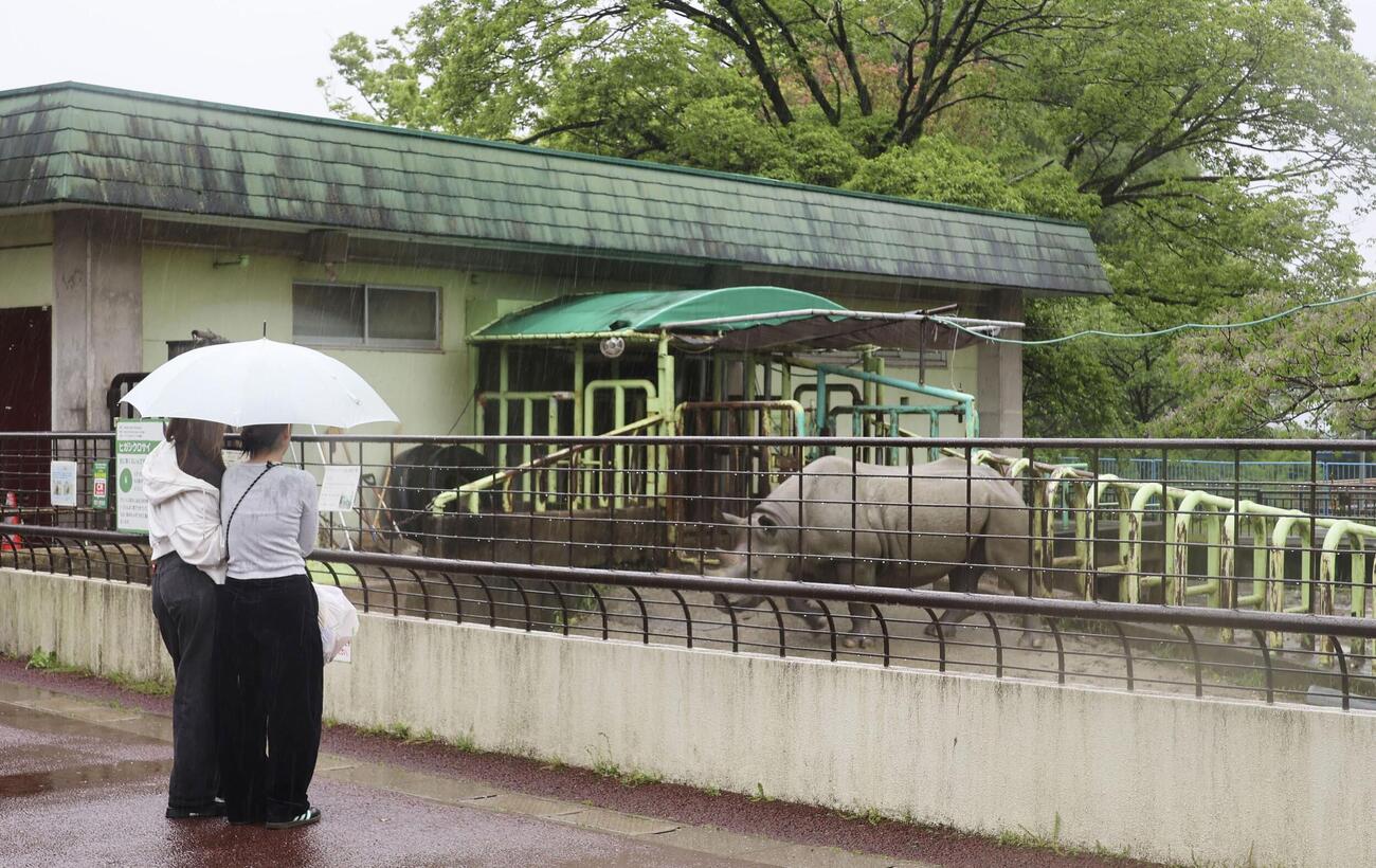 熊本市動植物園のクロサイ舎（共同）