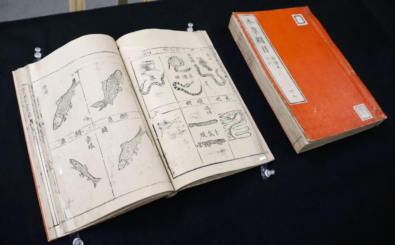 京都府立植物園が所蔵している中国・明代の古文書「本草綱目」の一部（共同）