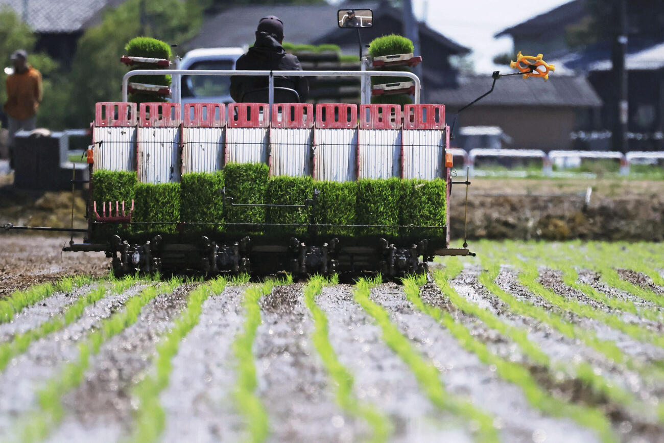 田植えをする農家（共同）