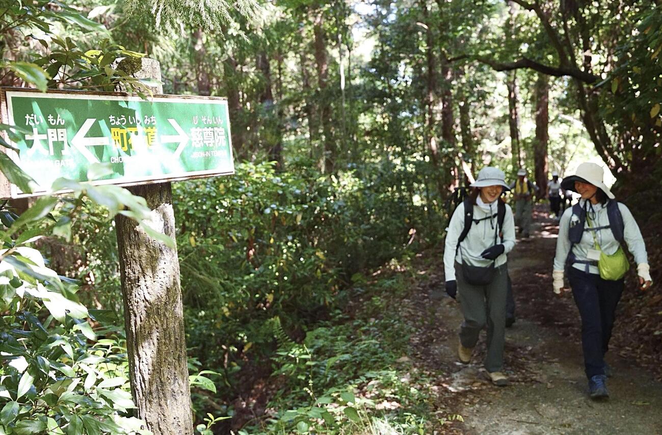 7年ぶりに開催された「高野参詣道町石道登山」＝24日午前、和歌山県九度山町(共同)