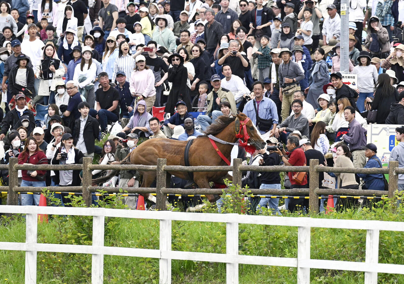 相馬野馬追の「甲冑競馬」で、コースの外に飛び出した馬（共同）