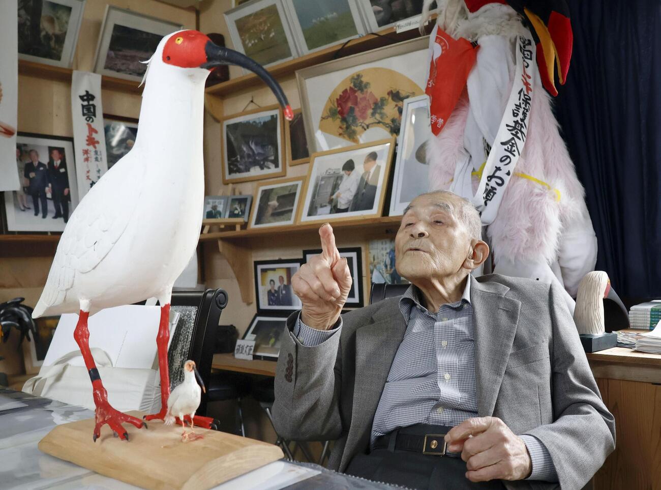 トキの模型を前に取材に応じる村本義雄さん＝4月、石川県羽咋市(共同)