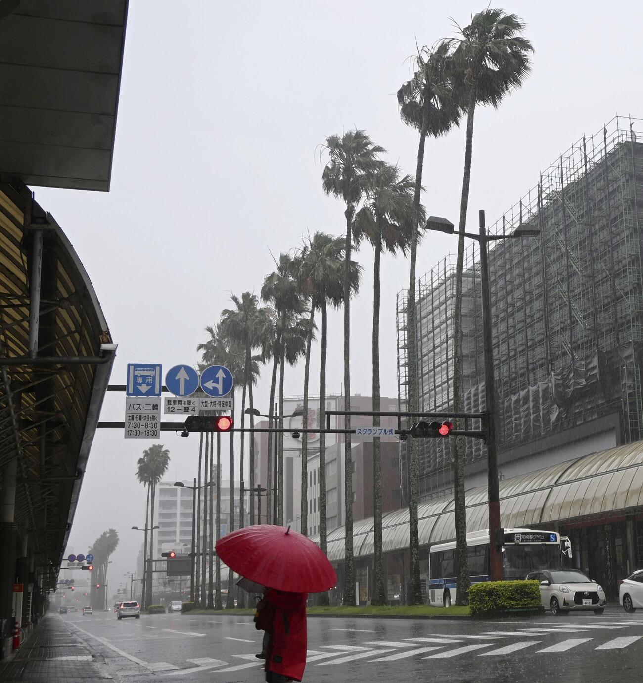 台風6号の接近で風雨が強まる宮崎市内（共同）