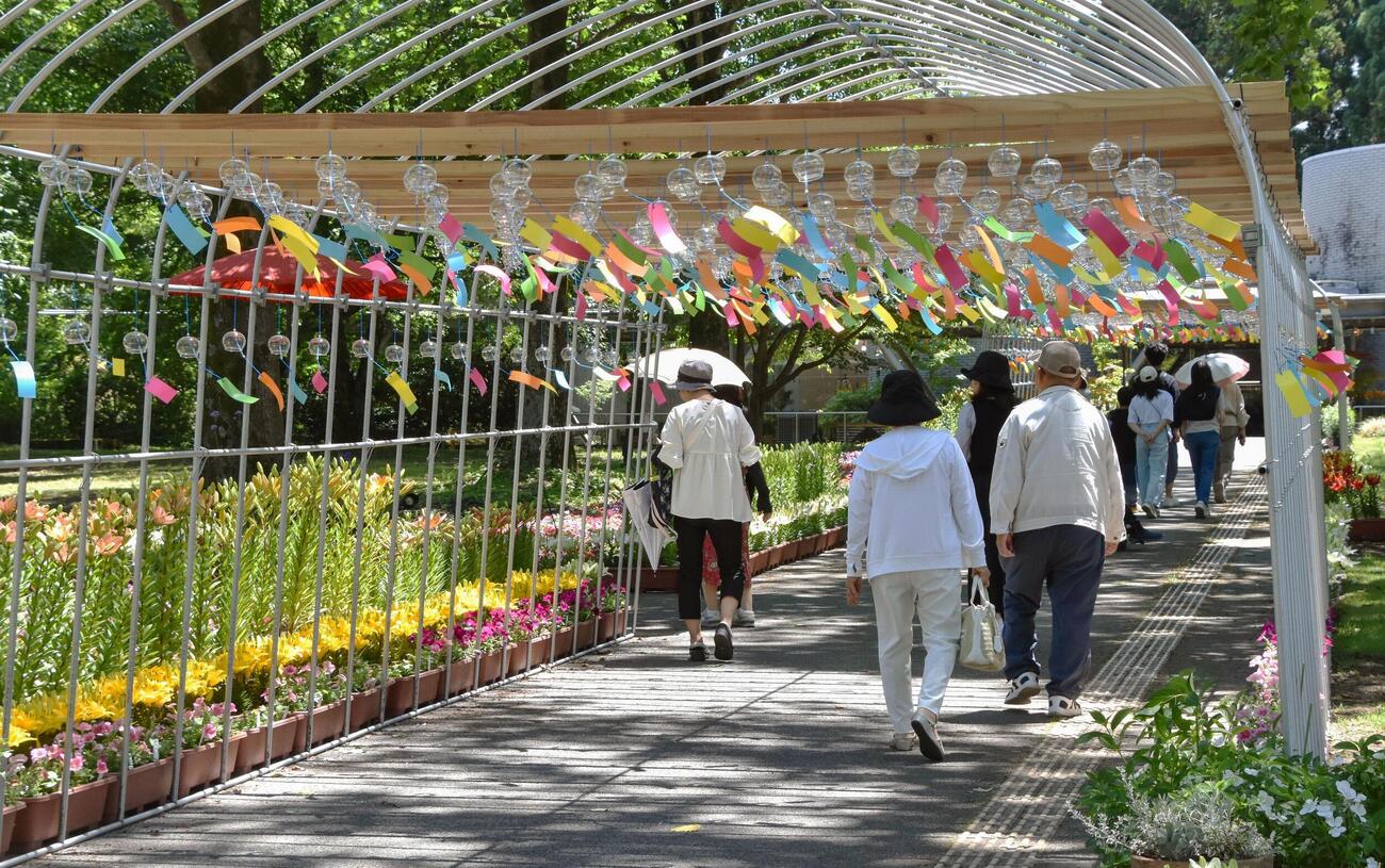 フラワーパーク「とっとり花回廊」にお目見えした全長50メートルの風鈴のロード（共同）