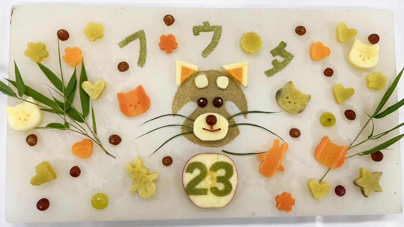 23歳の誕生日を迎えたレッサーパンダの風太に贈られた特製ケーキ（千葉市動物公園提供）