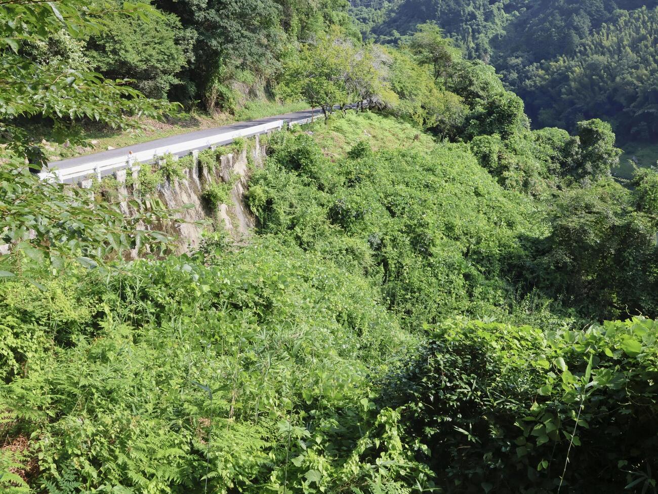 2人の遺体が見つかった現場付近＝18日午前、奈良市(共同)