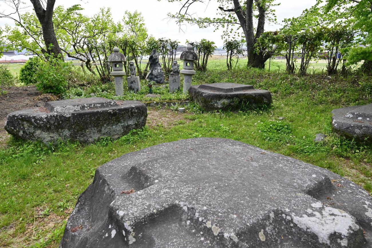 奈良県橿原市の本薬師寺跡（共同）