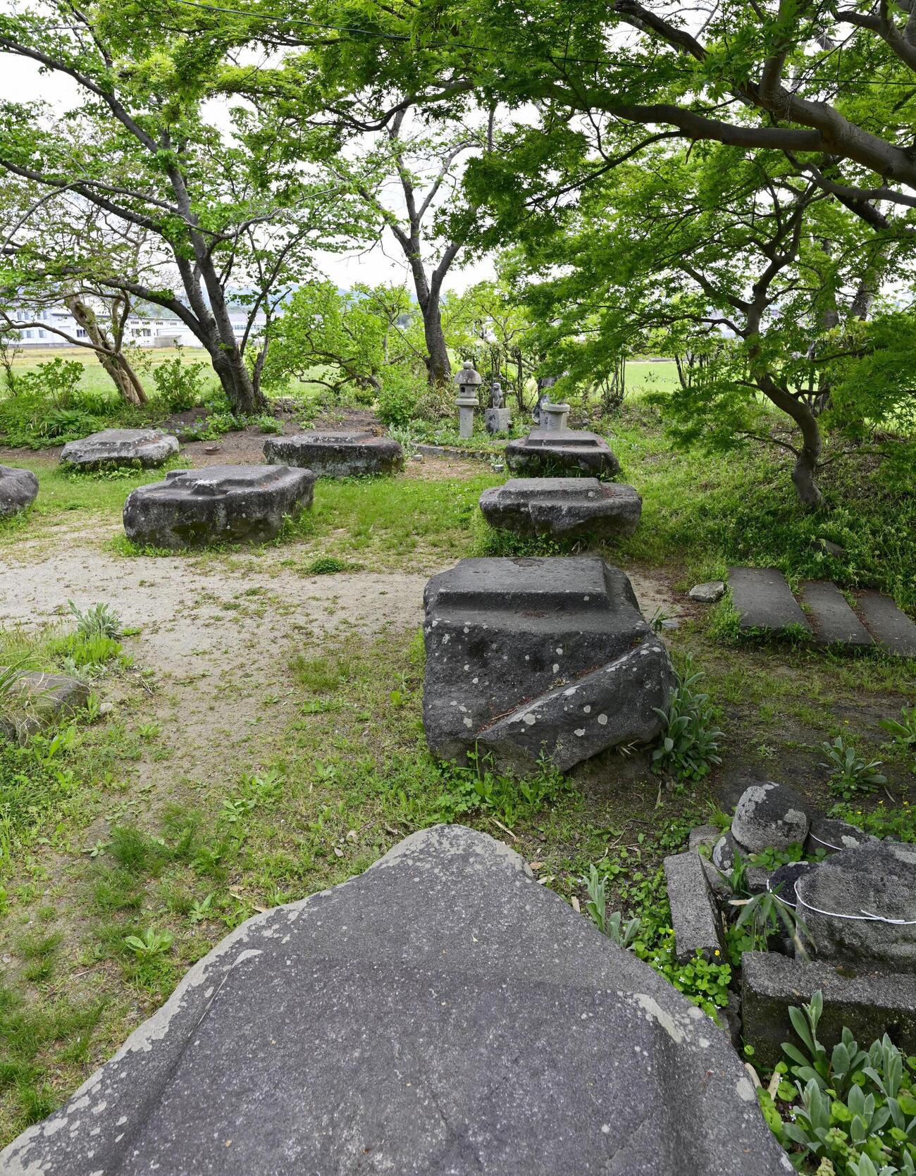 奈良県橿原市の本薬師寺跡（共同）