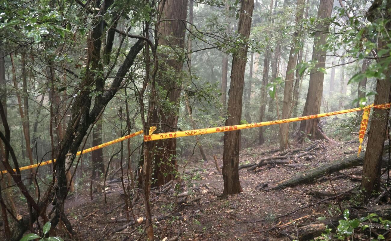 女性の遺体が見つかった埼玉県飯能市の山林（共同）