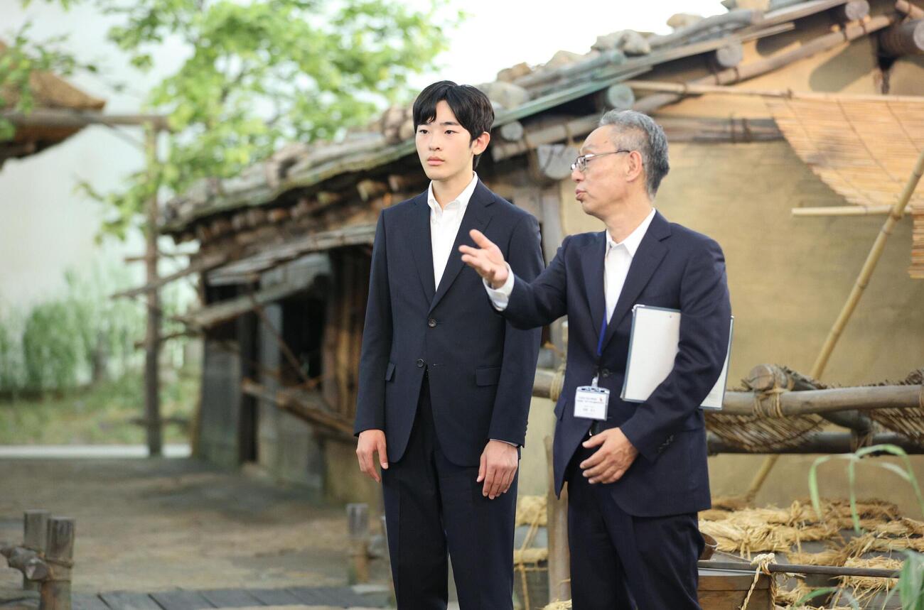 広島県立歴史博物館で、中世の港町・草戸千軒を再現した展示を見学される悠仁さま＝8日午後、広島県福山市（代表撮影）