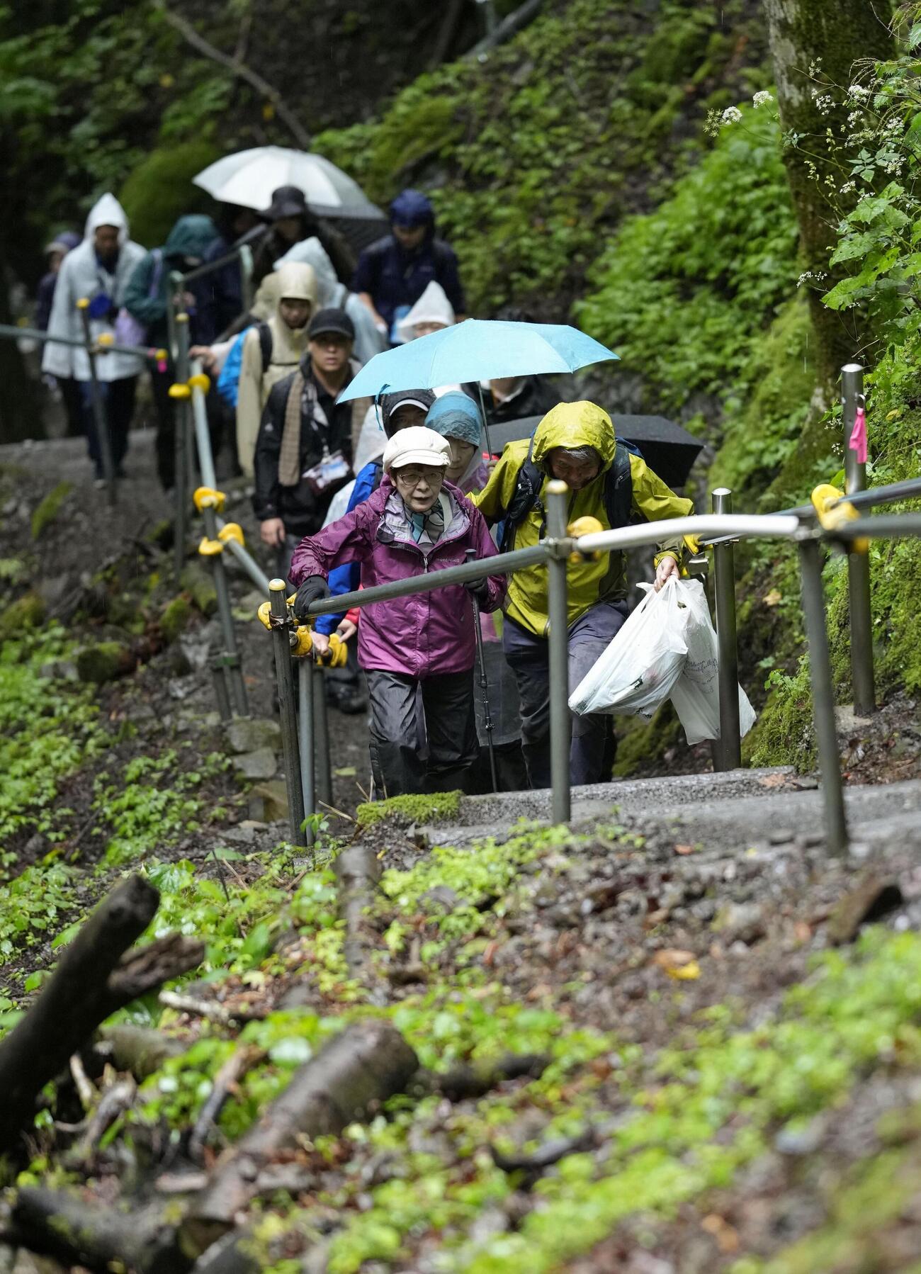 日航機墜落事故の現場「御巣鷹の尾根」に慰霊登山する遺族ら＝12日午前、群馬県上野村（共同）