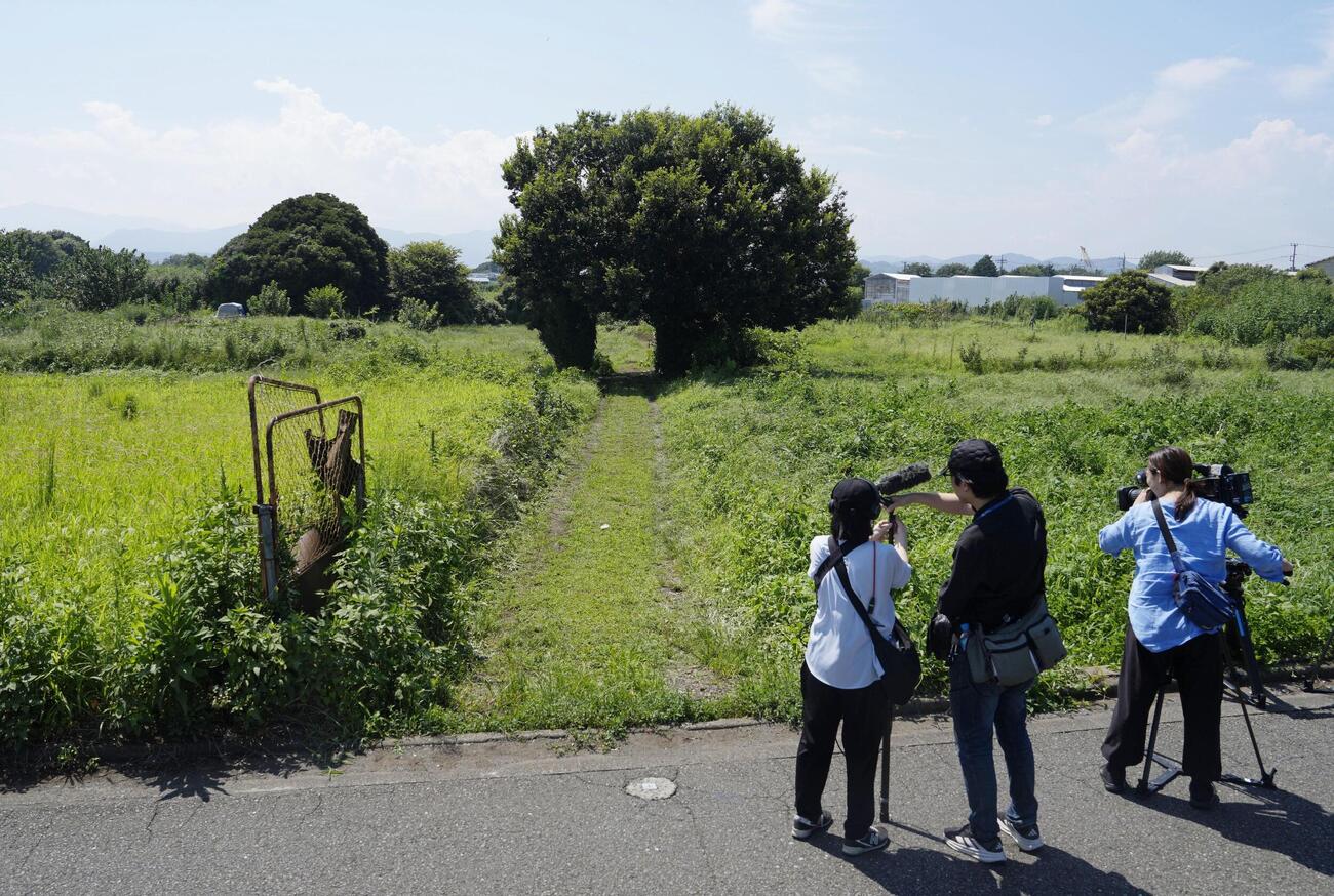 ※写真はイメージ