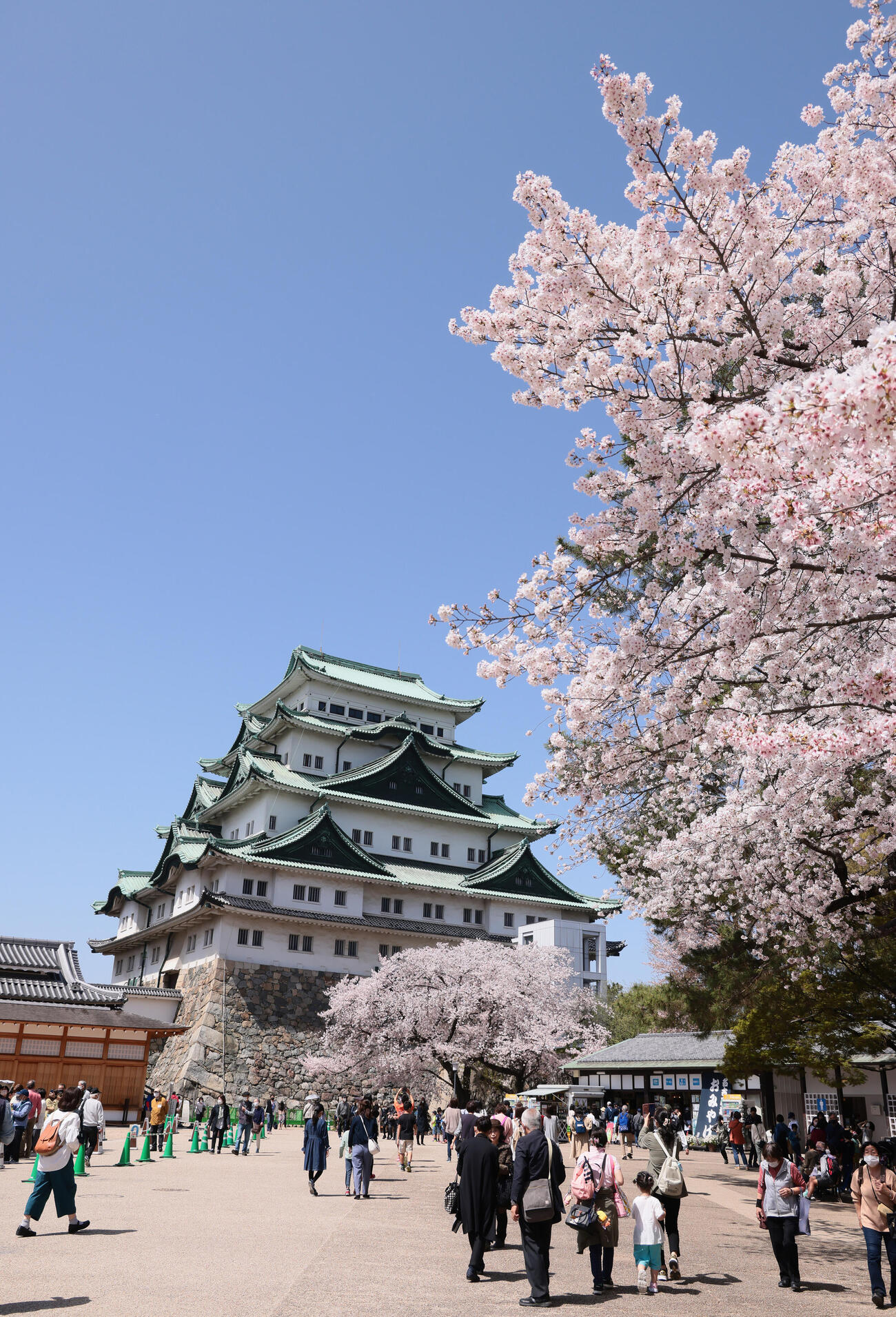 名古屋城