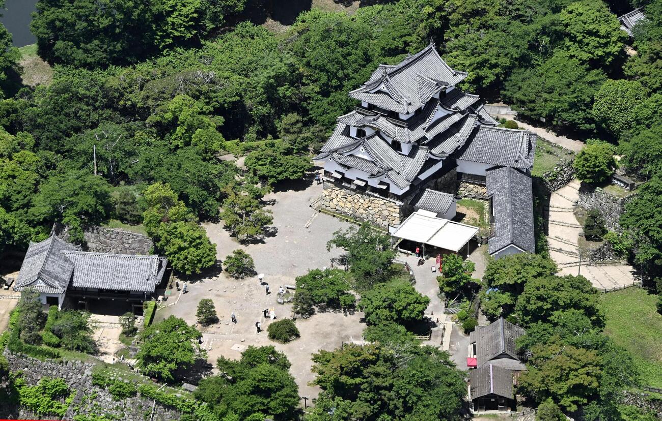 世界文化遺産登録を目指す推薦候補に選ばれた滋賀県彦根市の彦根城＝2025年5月（共同）