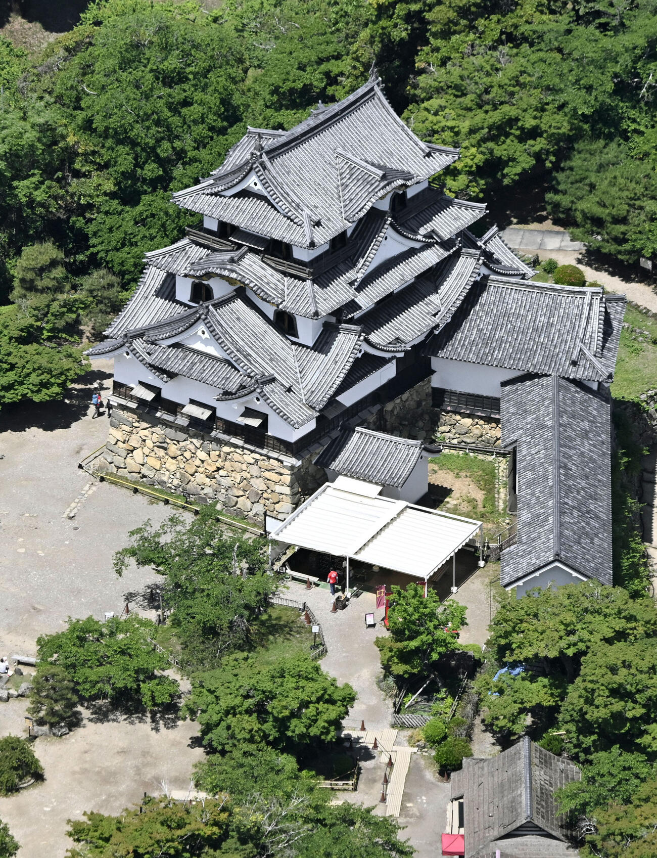 世界文化遺産登録を目指す推薦候補に選ばれた滋賀県彦根市の彦根城＝2025年5月