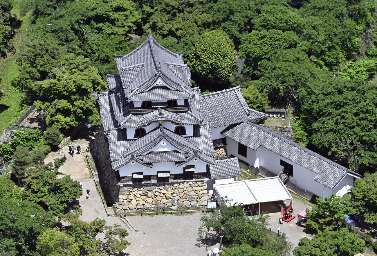 滋賀県彦根市の彦根城＝2025年5月（共同）