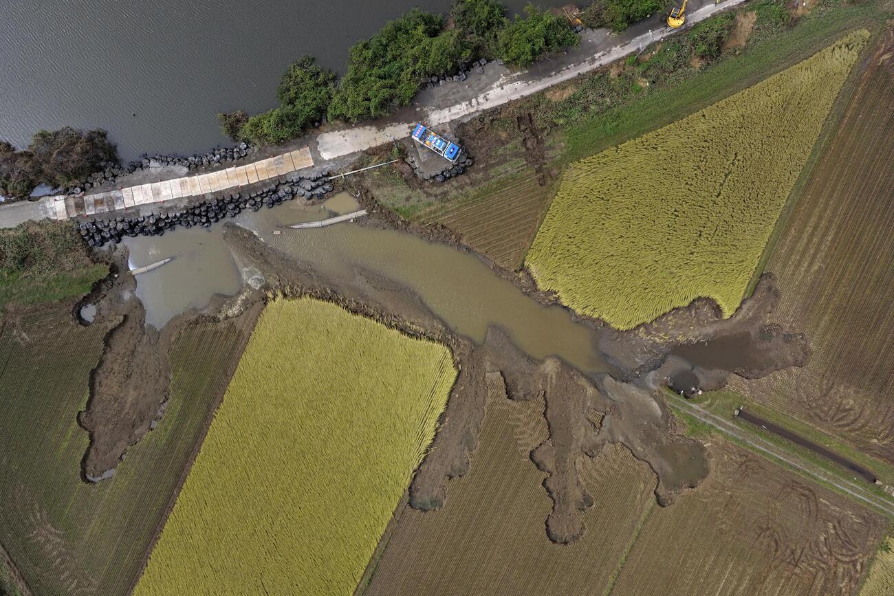 千葉県・印旛沼の堤防が決壊し、土砂が流入した田んぼ＝1日午後（ドローンから）（共同）