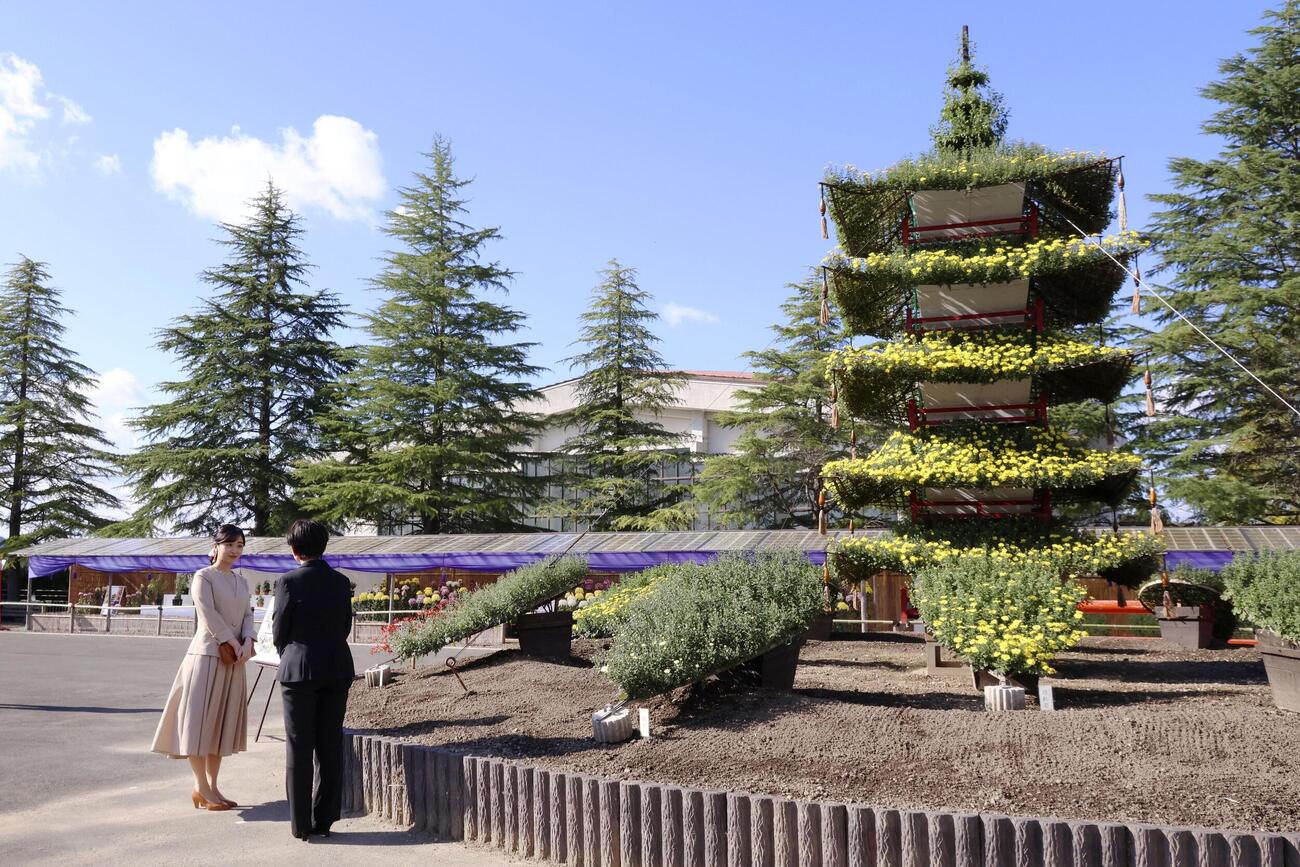 菊の花の展示を視察される佳子さま＝6日午後、京都府京丹波町（代表撮影）(共同)
