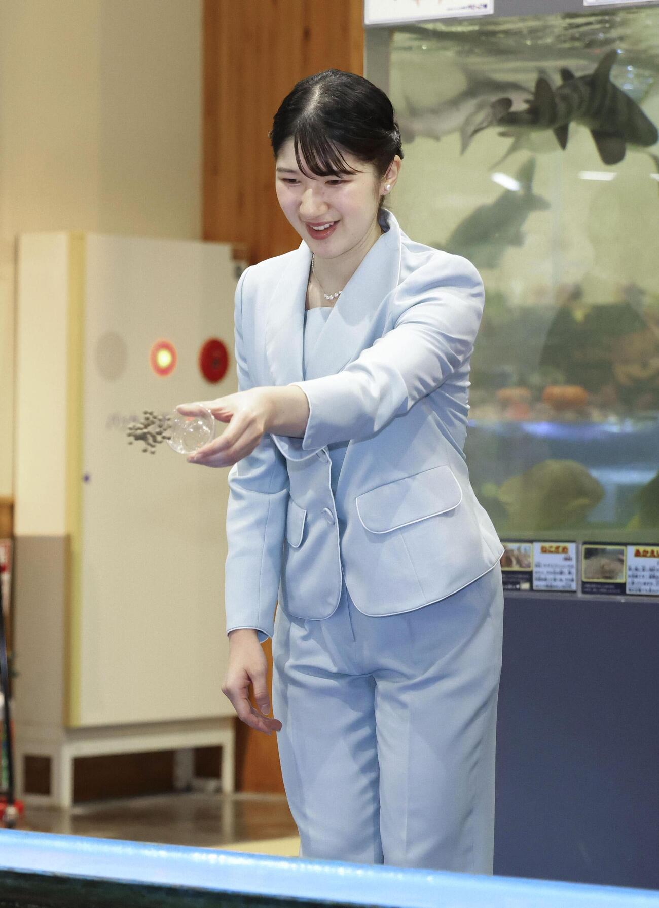 水族館「とっとり賀露かにっこ館」でヒラメの餌やりを体験される愛子さま＝19日午後、鳥取市（代表撮影）
