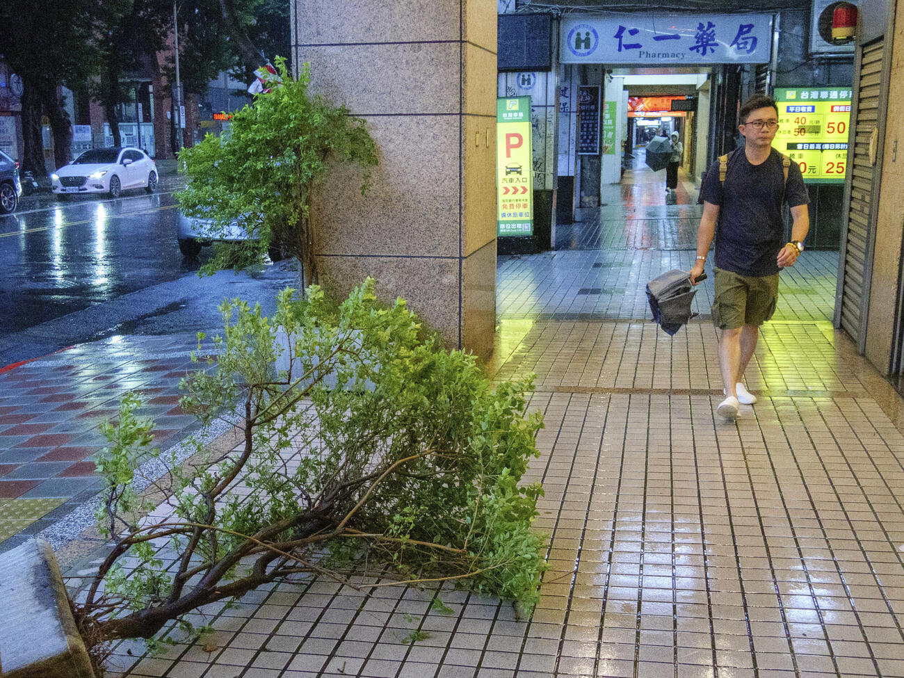 台北市内で歩道に倒れた植木＝23日（共同）