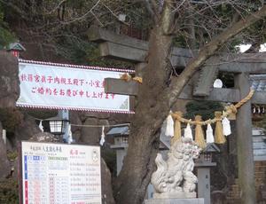 小室圭さん自宅近くの神社 紅白の横断幕は撤収せず 社会 日刊スポーツ
