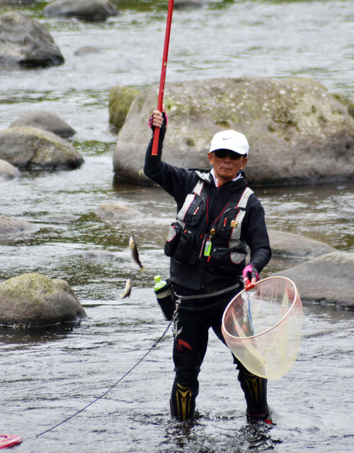 狩野川で解禁を待っていたファンがアユを釣り上げていた（撮影・赤塚辰浩）