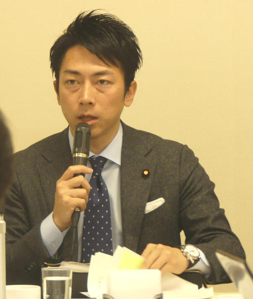 小泉進次郎厚労部会長（2019年1月31日撮影）