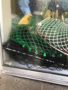 市立福岡女子高に侵入し、網で捕らえられた猿（福岡市教育委員会提供）
