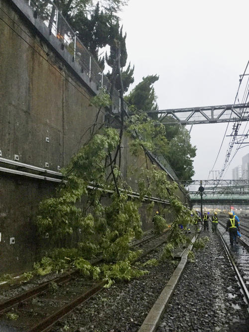 JR山手線の品川―大崎間で、線路にかかった倒木(JR東日本提供=共同)