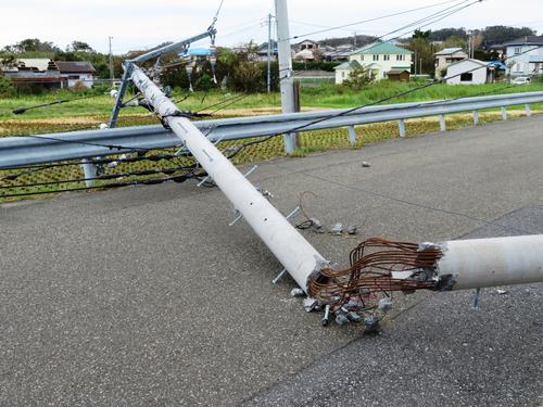 台風15号で倒れた電信柱（撮影・佐藤成）