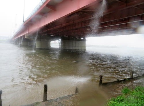 台風19号の暴風雨で水かさが増し、土手に水があふれ出した江戸川（撮影・村上幸将）