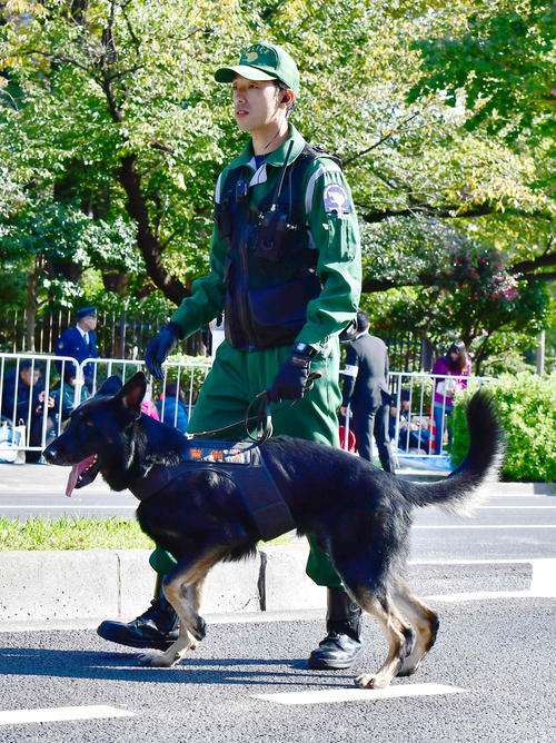 即位を祝うパレードを前にコースを警察犬といっしょに巡回警備する警察官（撮影・小沢裕）