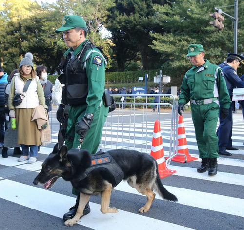 青山一丁目の交差点を歩く警備犬＝10日、午前8時25分（撮影・河野匠）