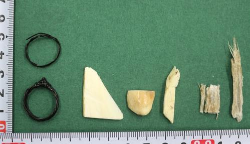 「富士サファリパーク」元職員が密輸出しようとした毛など（東京税関成田税関支署提供）