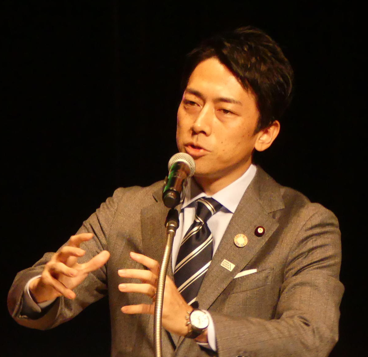 小泉進次郎環境相（2019年10月31日撮影）