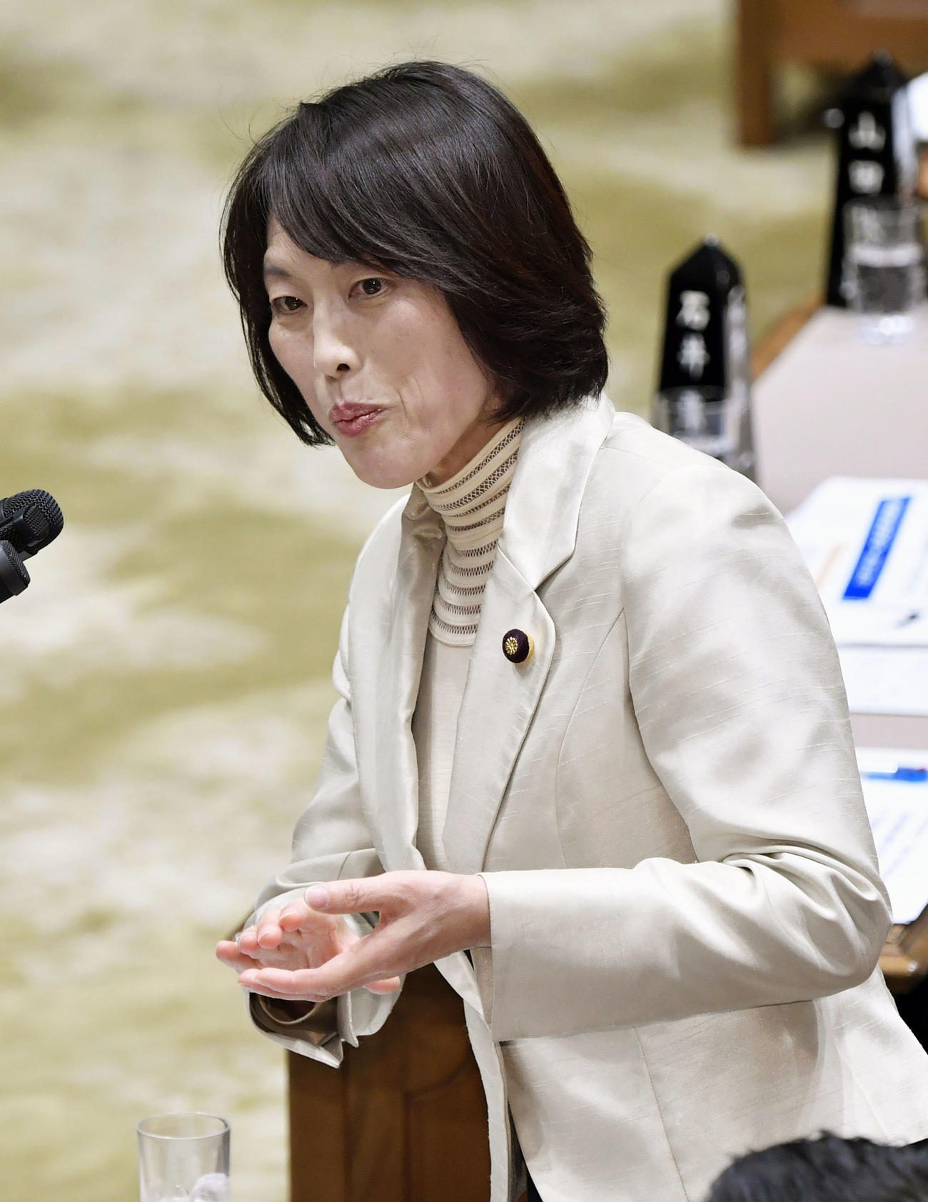 参院予算委で質問する共産党の田村智子氏（共同）