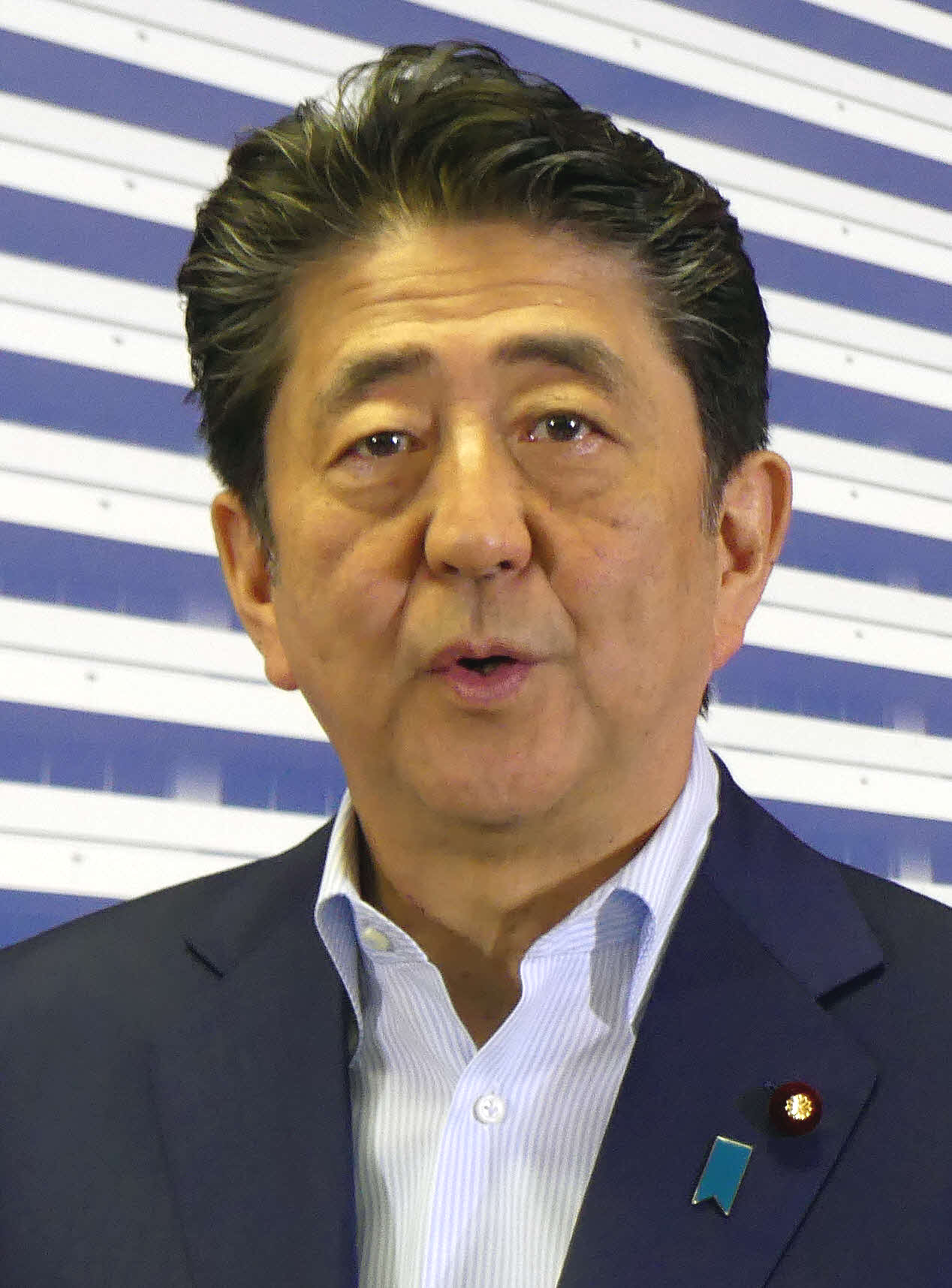 安倍晋三首相（2019年7月22日撮影）