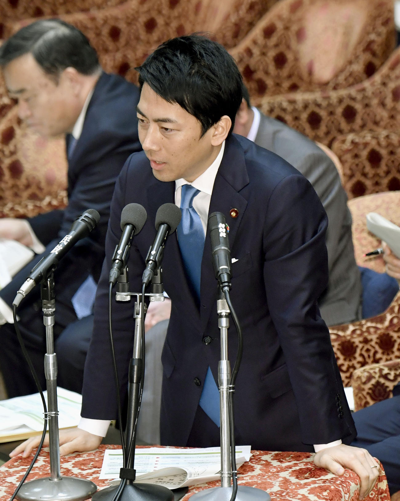 衆院予算委で答弁する小泉環境相（共同）