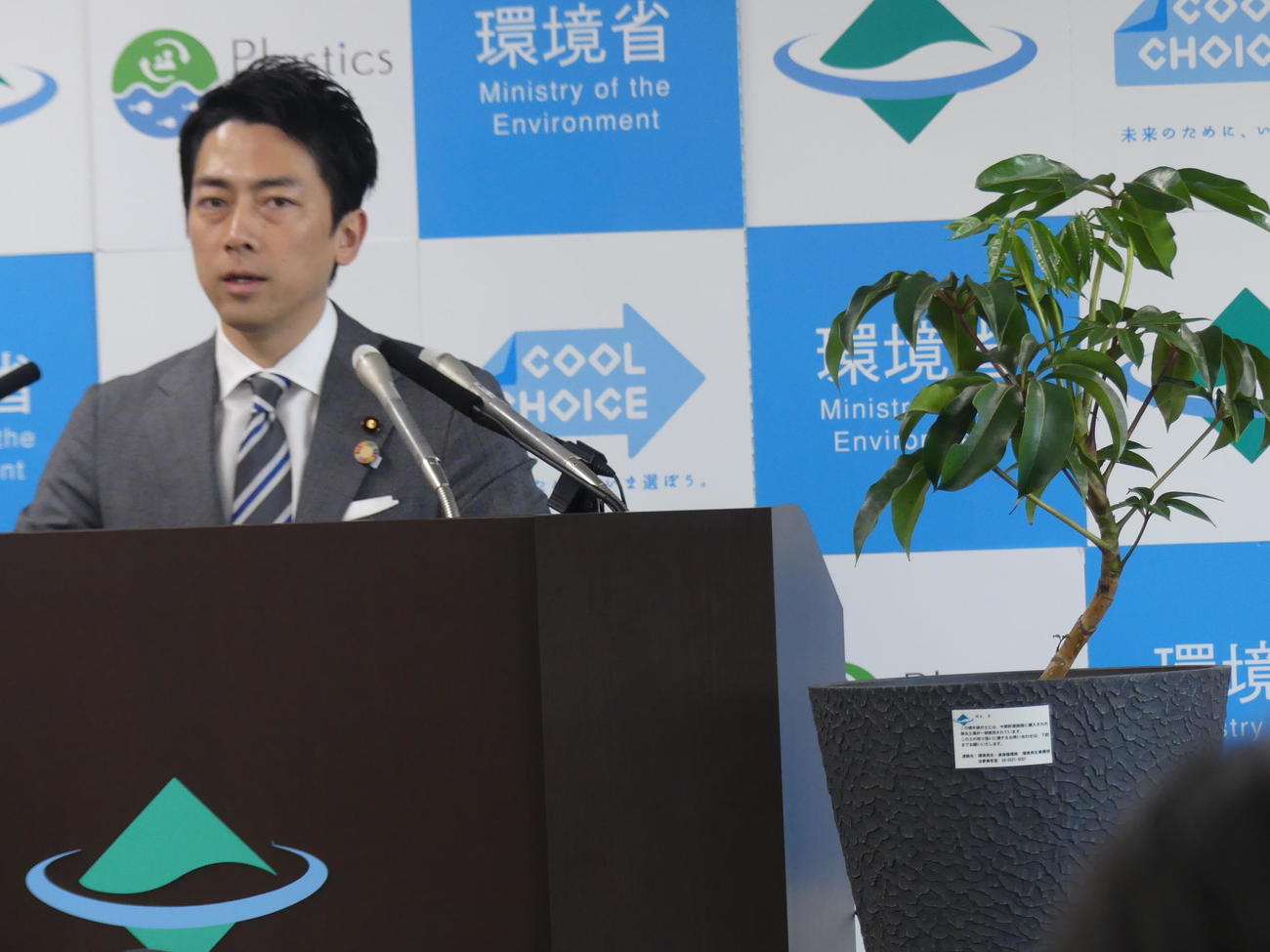 中間貯蔵施設に搬入後、分別した土壌を使った観葉植物を、省内に設置すると表明した小泉進次郎環境相