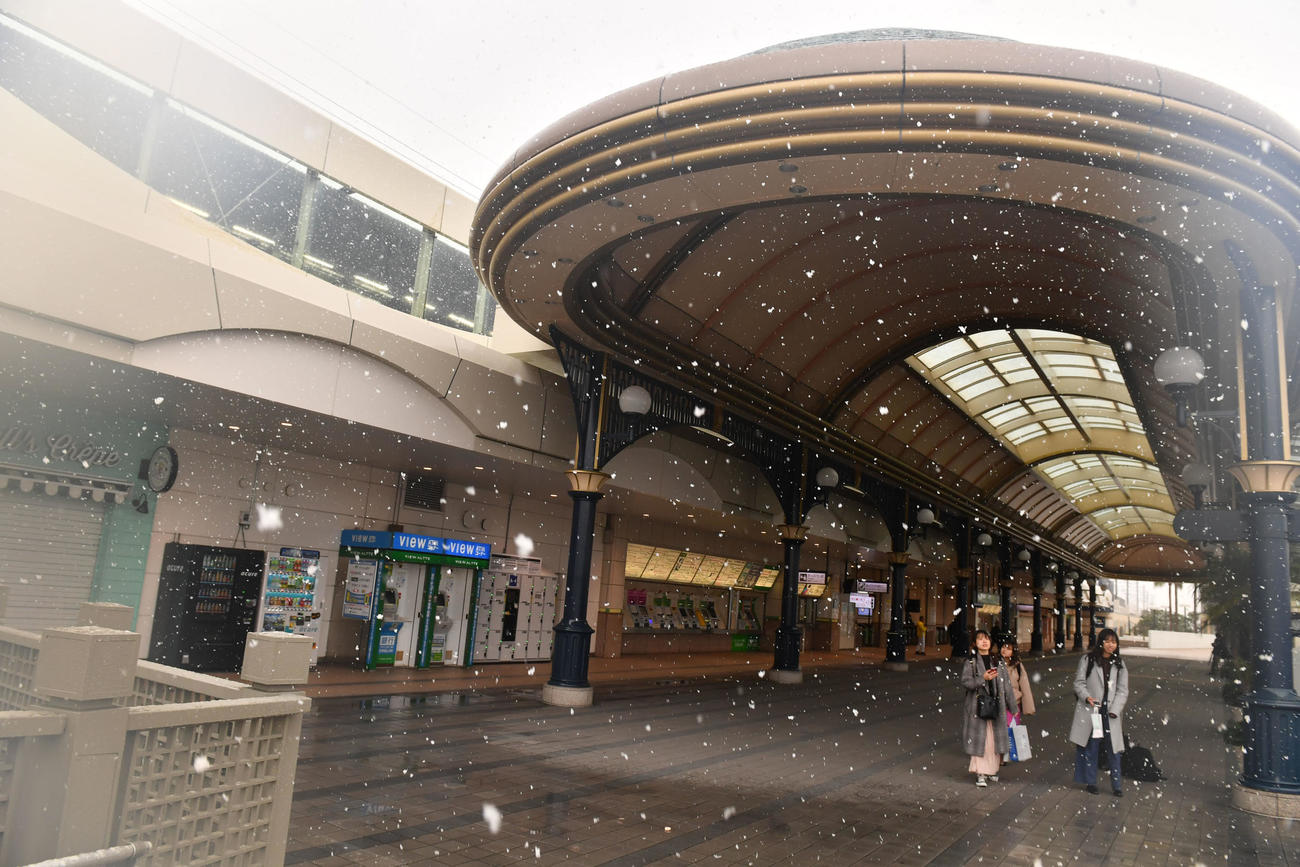 雪が舞う舞浜駅（撮影・柴田隆二）