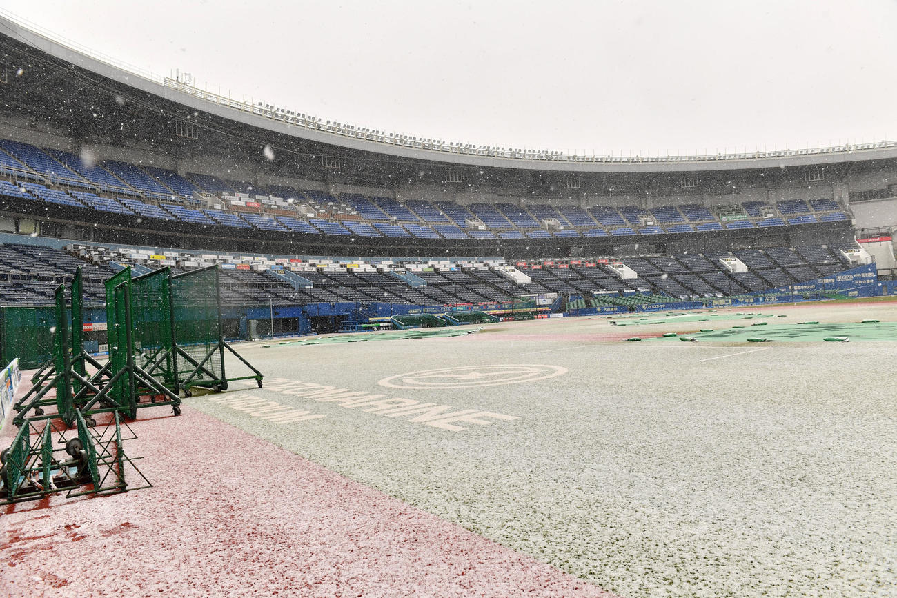 雪に埋もれたZOZOマリンスタジアム（撮影・柴田隆二）