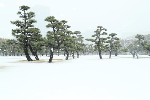 雪の積もる皇居・二重橋広場（撮影・足立雅史）