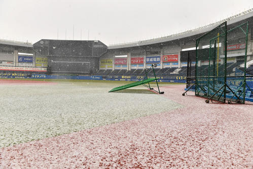 雪に埋もれたZOZOマリンスタジアム（撮影・柴田隆二）