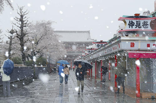 不要不急の外出自粛の週末に雪が降り閑散とする浅草・仲見世通り（撮影・河田真司）