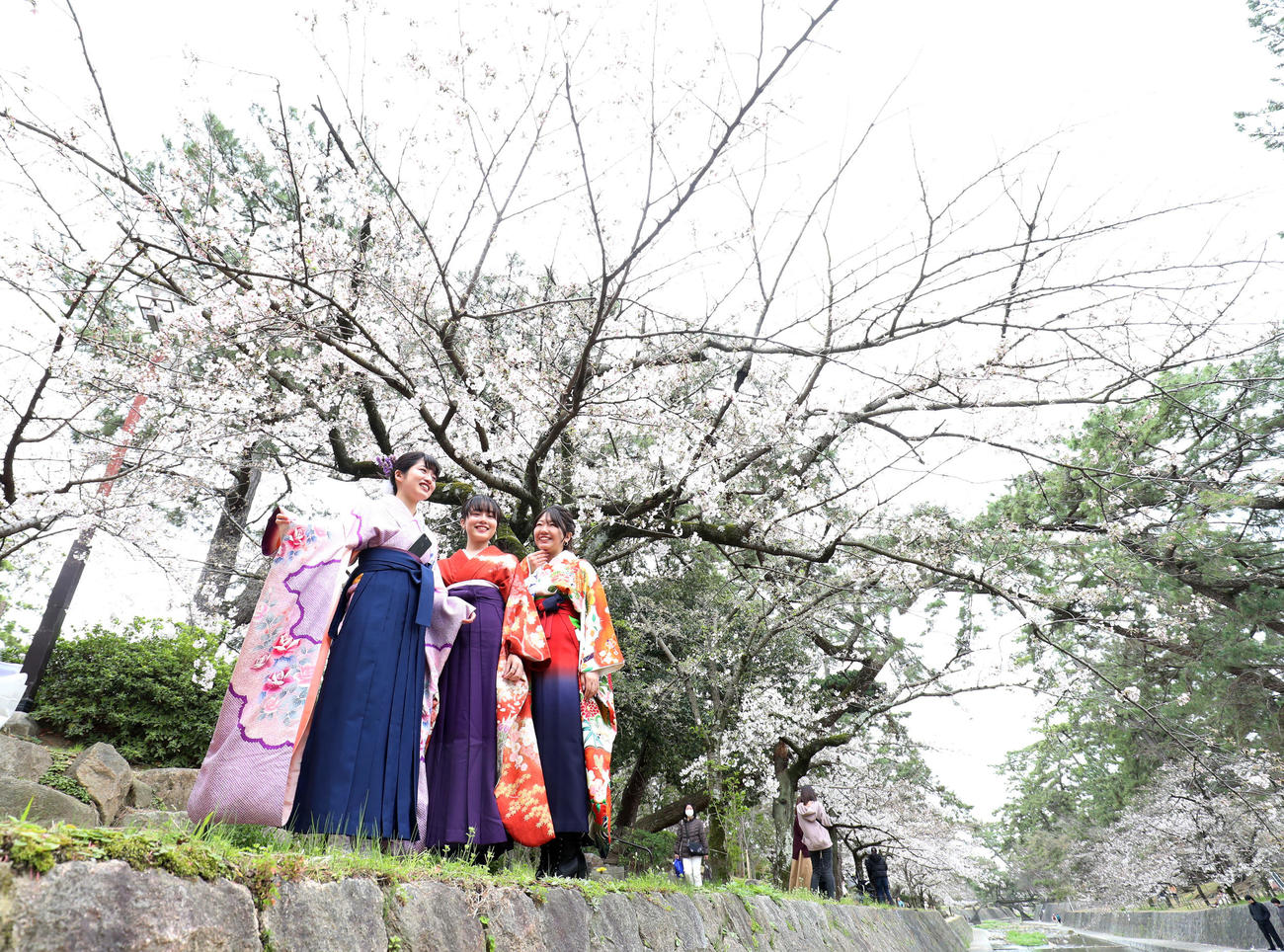 桜を背に明るい表情をみせてくれる左から、渋谷しえりさん、前田由樹さん、神田実紅さん（撮影・加藤哉）